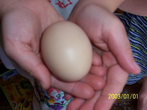 MyNaturalFamily's profile picture. 