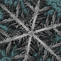 Crystallography 2020 (@conference2k20) 's Twitter Profile