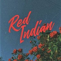 Red Indian Band(@RedIndianBand1) 's Twitter Profile Photo