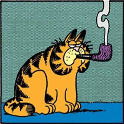 RahulisAShankar's profile picture. 