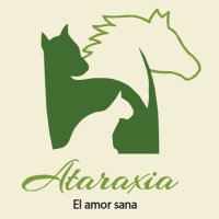 Ataraxia Oficial(@AtaraxiaOficial) 's Twitter Profile Photo
