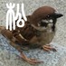 松本直記 (@naokimatsumoto) Twitter profile photo