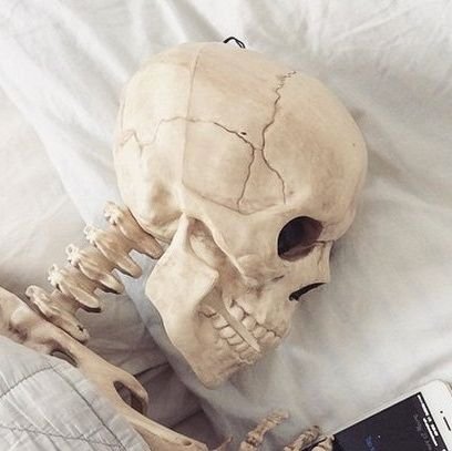 로그아웃さんのプロフィール画像