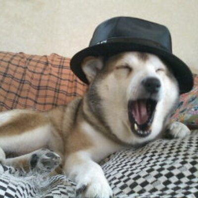 リリィのプロフィール写真