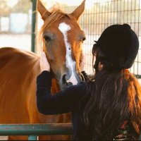 مها بنت صالح (@mhaooy66) 's Twitter Profile