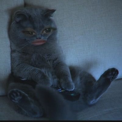 DaBroduction's profile picture. @broductiondos
