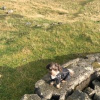 Kjersti Åsheim (@ktasheim) 's Twitter Profile