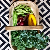 Claire Barnett (@harebells) 's Twitter Profile