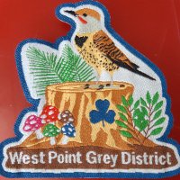 WPGDistrictGGC (@wpggirlguides) 's Twitter Profile