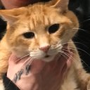 Belle! - @BelindaAyers10 - Twitter