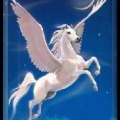 Pegasofree777 Profile Picture