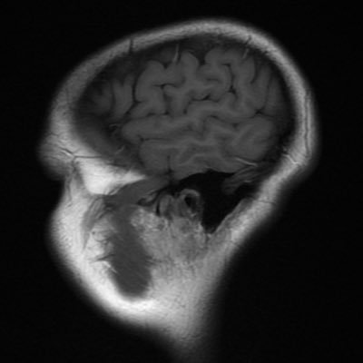 little_eira's profile picture. Small sentimental sausage.