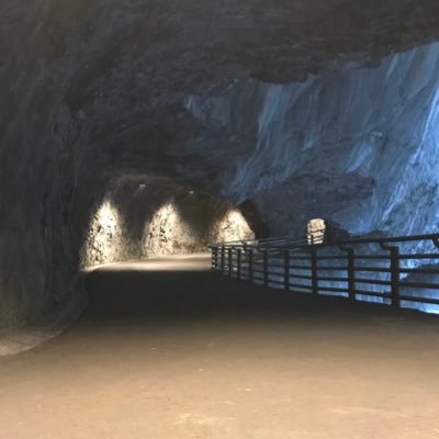 twinbird10's profile picture. 