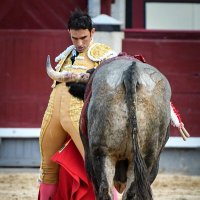 Sergio Serrano (@sergioserrano85) 's Twitter Profile