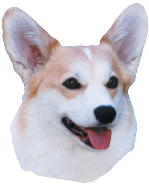 omgrawls's profile picture. 