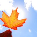 Can Yang - @CanCanYang - Twitter