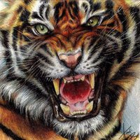ابو عبدالله (@adelalsaadi1) Twitter profile photo