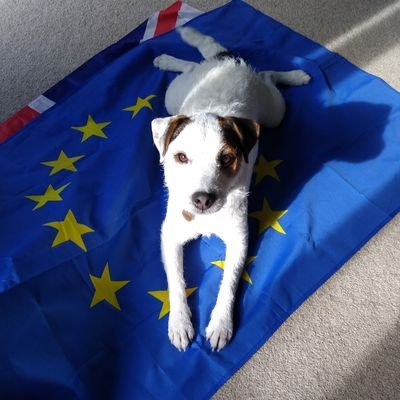 Just trying trying to get by, living in a world of persecution that is burning in its greed -MB 🇪🇺🇬🇧 🇺🇦