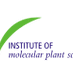 Institute of Molecular Plant Sciences (@InstMolPlantSci) Twitter profile photo