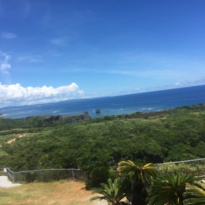 nekokiki7's profile picture. 