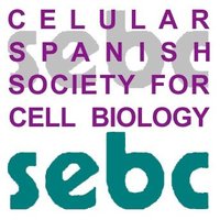 SEBCell (@sebcellular) 's Twitter Profile Photo
