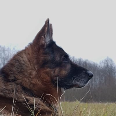 IvarsForands's profile picture. Good Guys in Bad Lands.