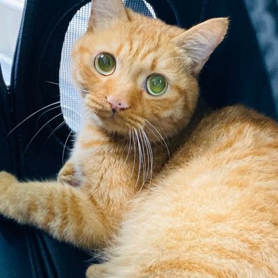 SOL7Nd6ZODvR1pe's profile picture. 