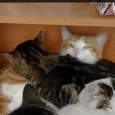 Frontender3's profile picture. frontendжу