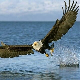 Omerhussien15's profile picture. Mr omer