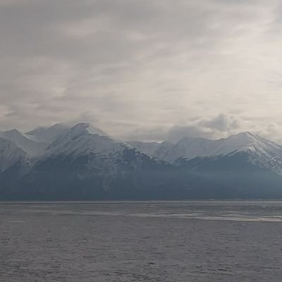 Drake71639642's profile picture. 