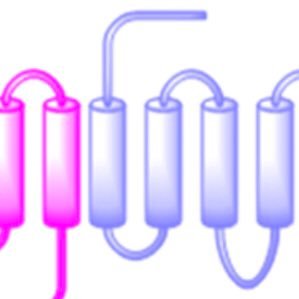 Tweeting new papers about #GPCR complexes (dimers and oligomers) from PubMed