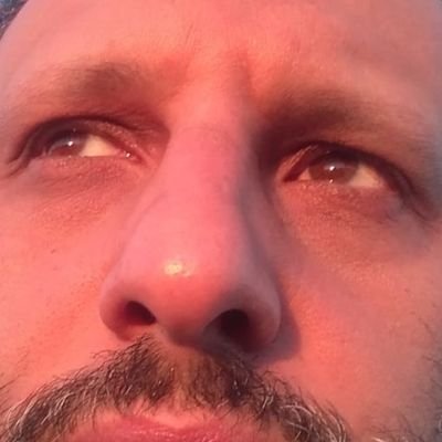 palpola3's profile picture. 