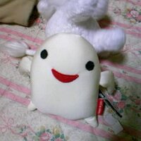 Kathy (凱薩琳） (@misahim) 's Twitter Profile