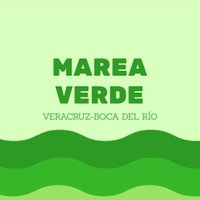 Marea Verde Veracruz-Boca del Río(@MareaVerdeVerBR) 's Twitter Profile Photo