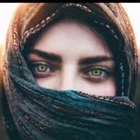 الشمريه ☪︎ (@shemarya1) 's Twitter Profile