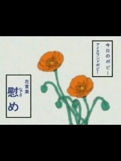 生まれたときから格好いいとかイケメンは諦めてます。無理です。それより、良い人と思われたい。都合よくありたい