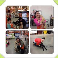 Shana Duran (@sasm_shana4611) 's Twitter Profile