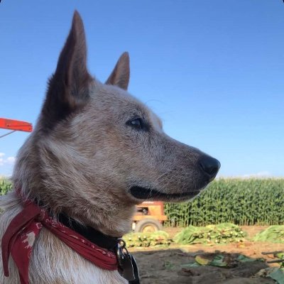 evanshertzer's profile picture. Ag Tire Sales & Repair