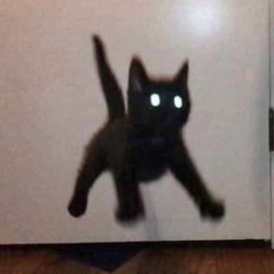 spookytime8000's profile picture. Ooga booga bRo