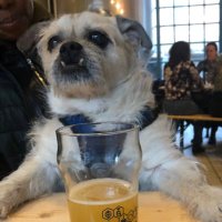 adp4beer (@barrelaged_art) 's Twitter Profile Photo adp4beer (@barrelaged_art) 's Twitter Profile Photo
