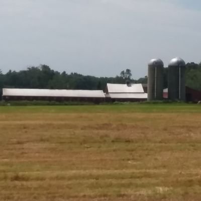 Proud Farmer also a  member of Teamster union local 251. living in West RI.