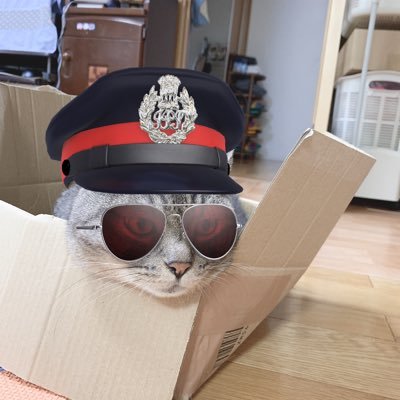 新車納車前外し⭐️イボ付き⭐️24年42週生産モデル⭐️ Ninja ZX-6R