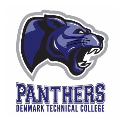 Denmark Tech Athletics- check here for all the scores- updates etc.