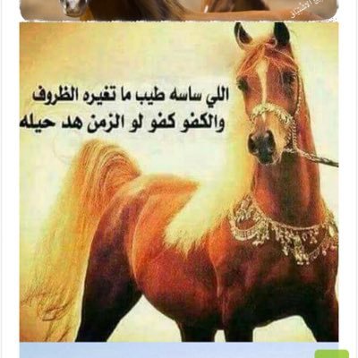 الحياة أخذ وعطاء .. فأعط الاحترام لتأخذ الوقار