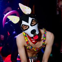 Pup Sudo ๐พ ๐ DoggyWeekend '24 (@pupsudo) 's Twitter Profile