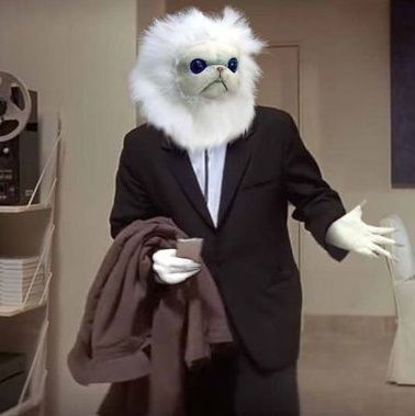 El___Ruso's profile picture. Anti todo