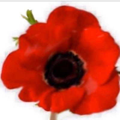 SLUD62's profile picture. "You have to keep moving. You have to keep going. Put one foot in front of the other, smile and just keep on rolling.”