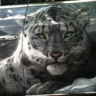 Nosferaty_Lyka's profile picture. 