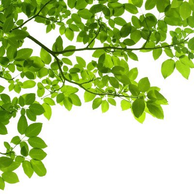 hosna1812's profile picture. I am a professional and passionate  web developer and expert designer with years of experience.