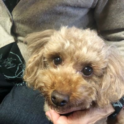 mk_miiik's profile picture. 斐高⇒富大⇒看護師